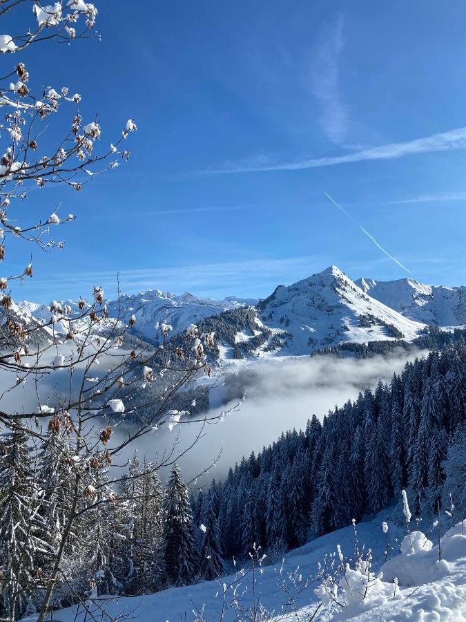 Hotel Rhodos Morzine Avoriaz Εξωτερικό φωτογραφία